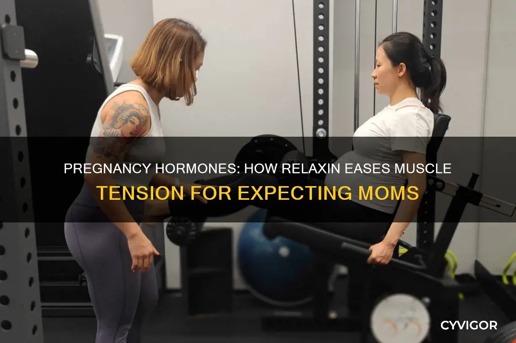 which hormone relax muscle in pregnancy