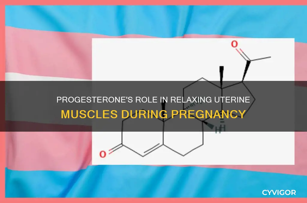 which hormonestimulates secreted by the cl relaxation of uterine muscles