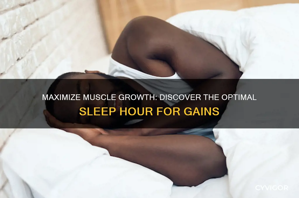 which hour of sleep do you gain muscle