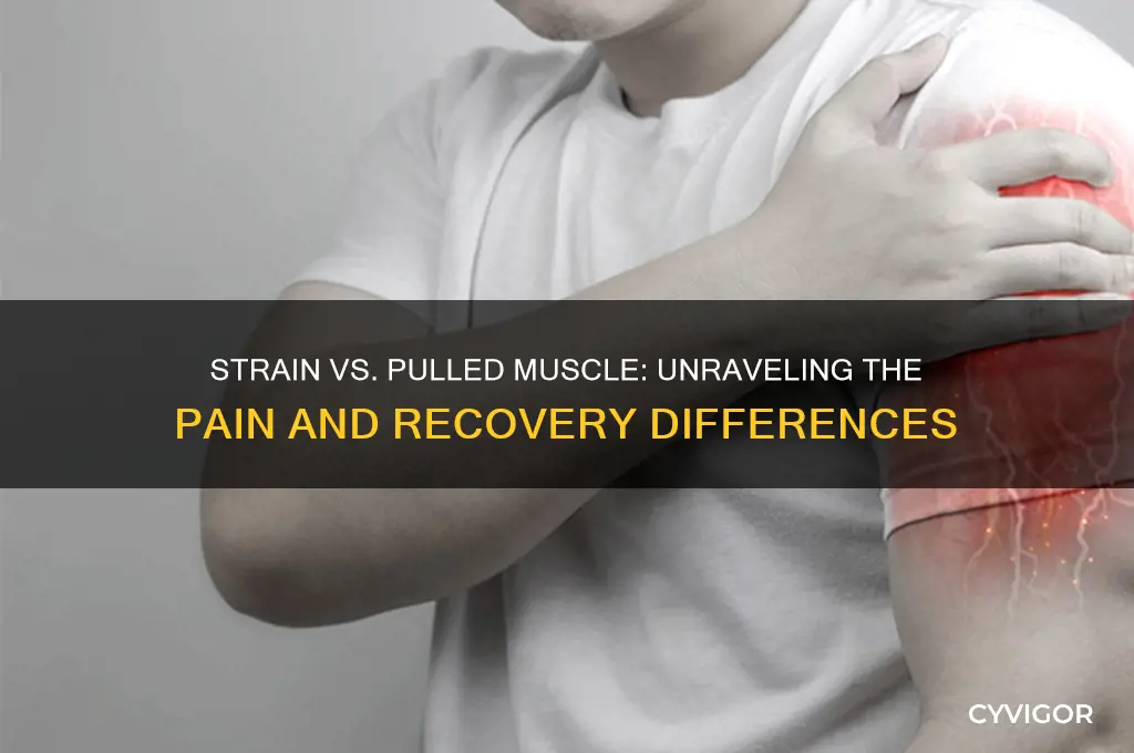 which hurts worse strain or pulled muscle