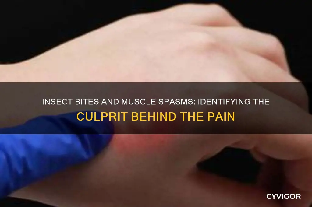 which insect bite causes muscle spasms
