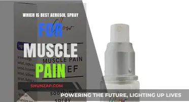 Top Aerosol Sprays for Muscle Pain Relief: Expert Recommendations