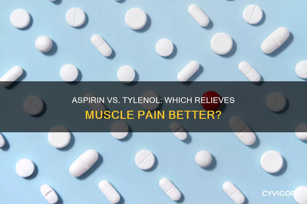 which is better for muscle pain apirin or tylenol