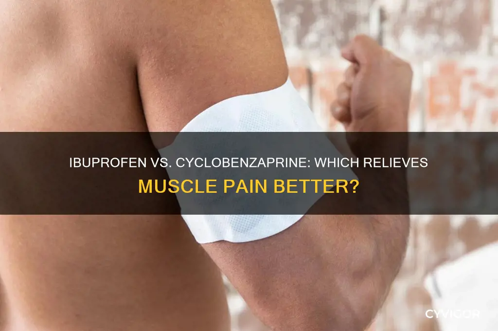 which is better for muscle pain ibuprofen or cyclobenzaprine