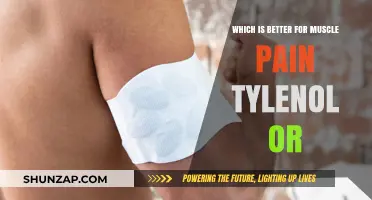Tylenol vs. Alternatives: What Works Best for Muscle Pain Relief?