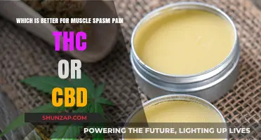 THC vs. CBD: Which Relieves Muscle Spasm Pain Better?
