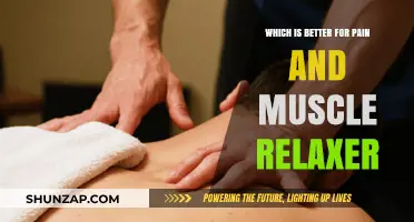 Pain Relief and Muscle Relaxation: Comparing Effective Treatment Options