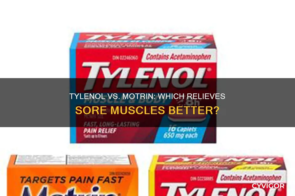 which is better for sore muscles tylenol or motrin