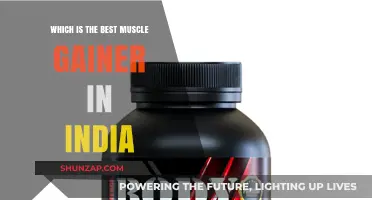 Top Muscle Gainer Supplements in India: A Comprehensive Guide