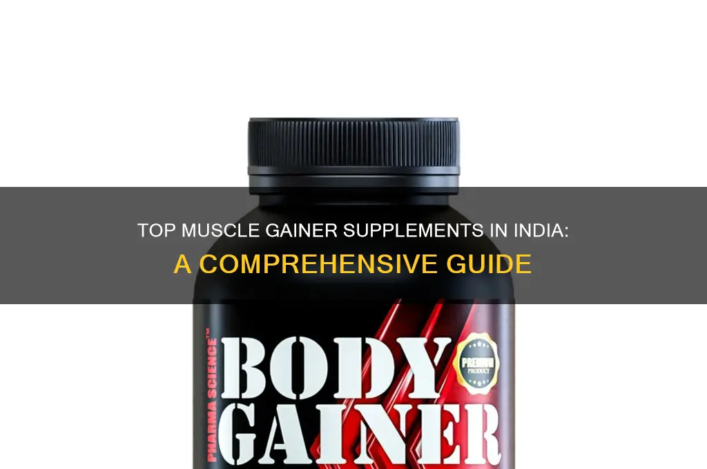 which is the best muscle gainer in india