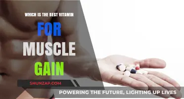Top Vitamins to Boost Muscle Growth and Strength Effectively