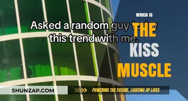 Kissing Muscles: What's the Secret to a Perfect Kiss?
