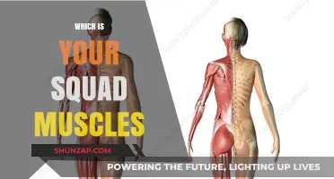 How to Build Your Squad: Muscles and Mindset