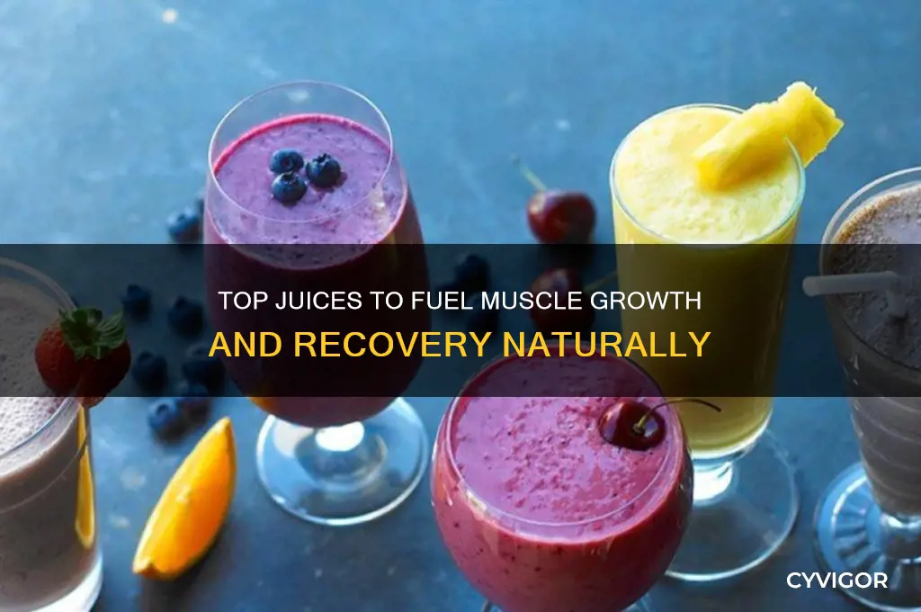 which juice is best for muscle gain