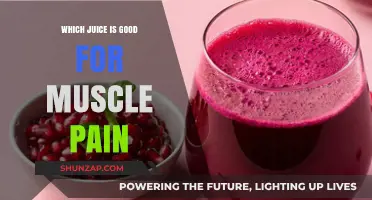 Best Juices to Relieve Muscle Pain: Natural Remedies for Recovery