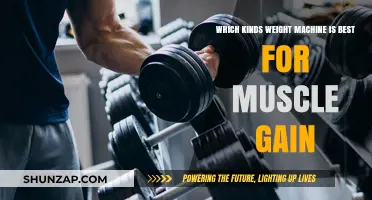 Best Weight Machines for Effective Muscle Gain: Top Picks and Tips