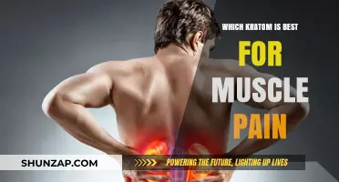 Best Kratom Strains for Effective Muscle Pain Relief: A Guide