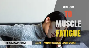 How Muscles Fatigue: Understanding the Science