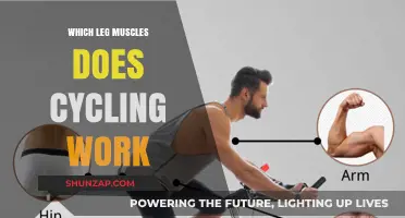 Cycling's Muscle Power: Unlocking Leg Strength and Endurance Benefits