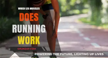 Running's Impact: Key Leg Muscles Strengthened and Toned