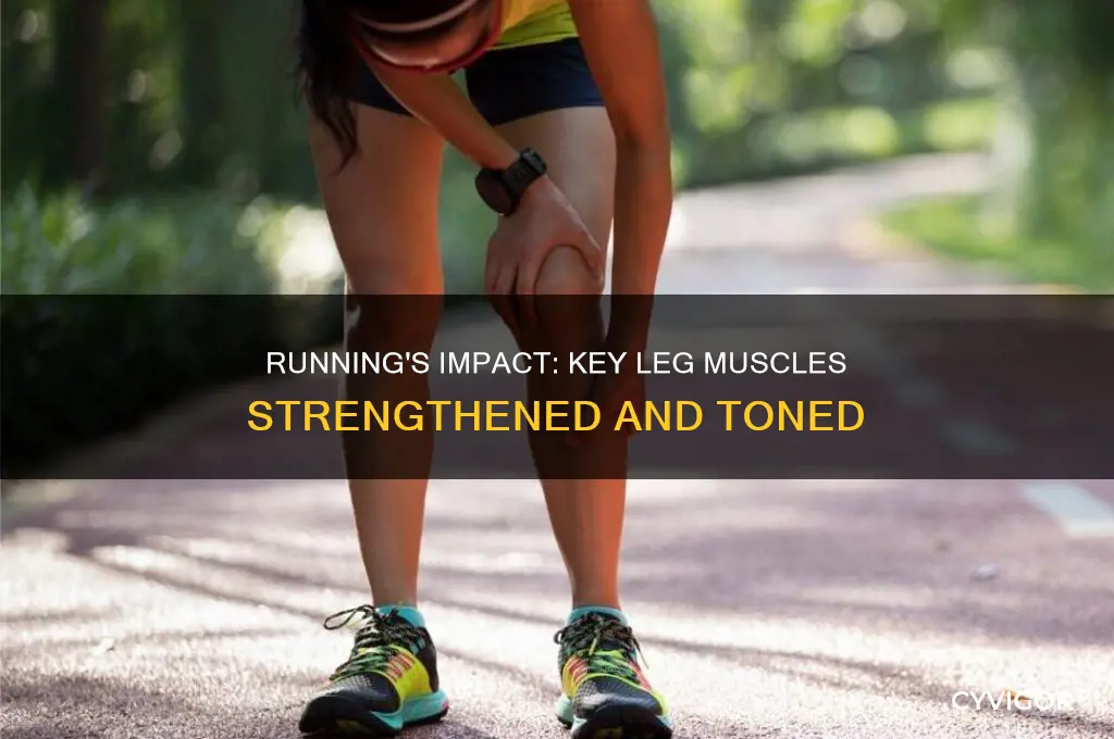 which leg muscles does running work