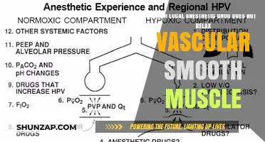 Local Anesthetic Without Vascular Smooth Muscle Relaxation: Which One?