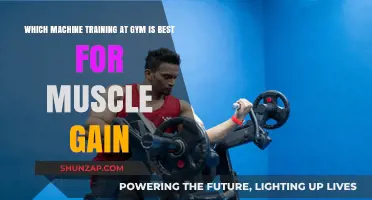 Best Gym Machines for Maximum Muscle Gain: Expert Recommendations
