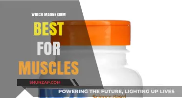 Best Magnesium Types to Relax Muscles