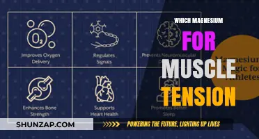 Best Magnesium Types for Muscle Tension Relief