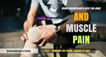 Best Magnesium Types for Relieving Joint and Muscle Pain Effectively