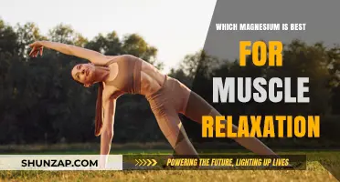 Best Magnesium Types for Optimal Muscle Relaxation and Recovery
