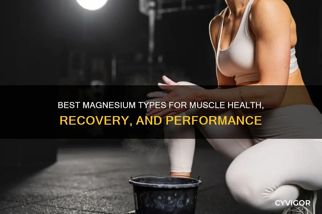 which magnesium is good for muscles