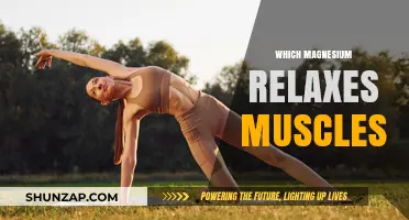 Magnesium for Muscle Relaxation: Best Types and Benefits Explained