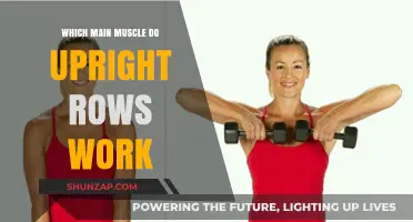 Upright Rows: Targeting Your Deltoids and Upper Body Muscles