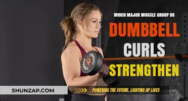 Dumbbell Curls: Targeting and Strengthening Your Biceps Effectively