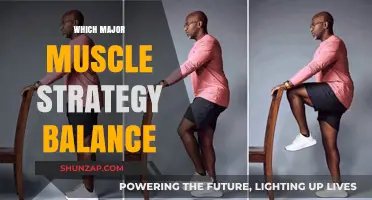 Mastering Muscle Balance: Strategies for Stability