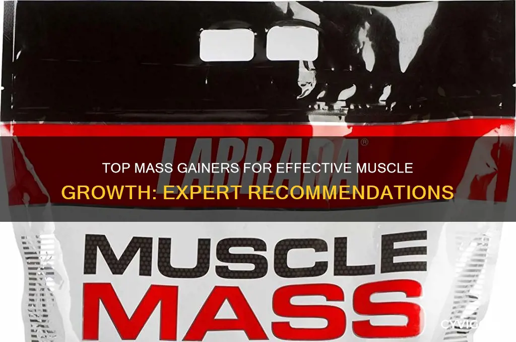 which mass gainer is best for muscle gain