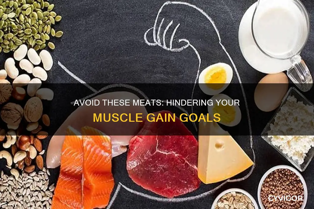 which meats are bad for gaining muscle