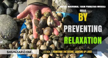 Microbial Toxin's Deadly Grip: Blocking Muscle Relaxation and Paralyzing Cells