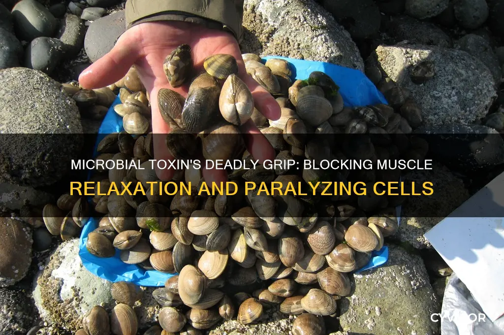 which microbial toxin paralysis muscle cells by preventing relaxation