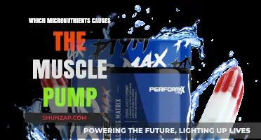 Micronutrients That Enhance Muscle Pump During Intense Workouts