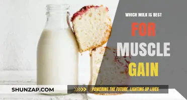 Best Milk for Muscle Gain: Top Choices to Fuel Your Growth