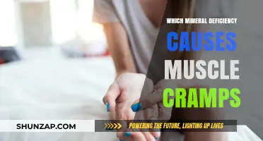 Muscle Cramps Unveiled: The Surprising Mineral Deficiency Behind the Pain