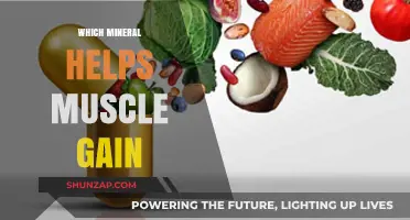 Boost Muscle Growth: Essential Minerals for Strength and Recovery