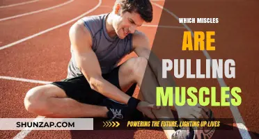 Understanding Muscle Strains: Which Muscles Are Most Prone to Pulling?