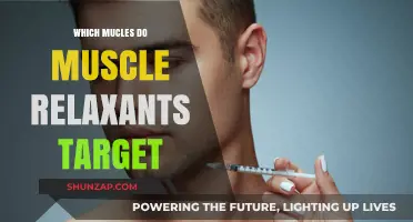Muscle Relaxants: Targeted Muscles and How They Work