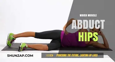 Gluteus Medius: Hip Abduction and Stability