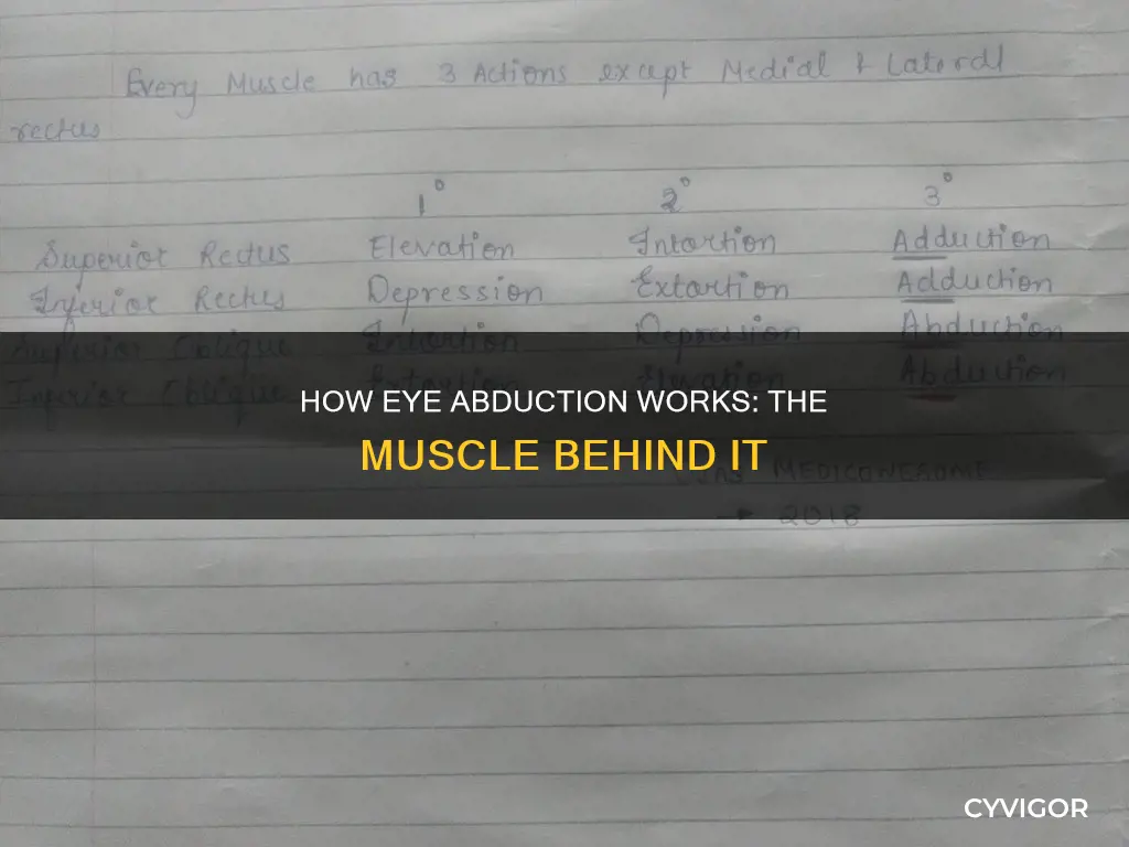 which muscle abducts the eye