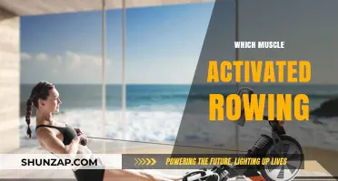 Rowing Workout: Activating Your Full Body