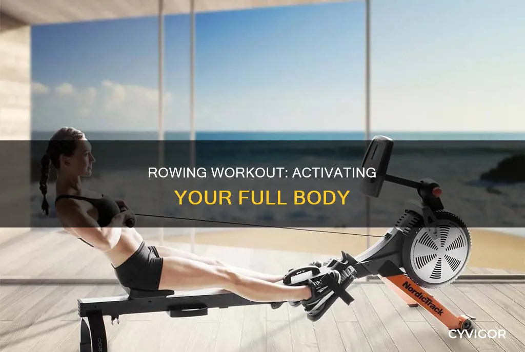 which muscle activated rowing